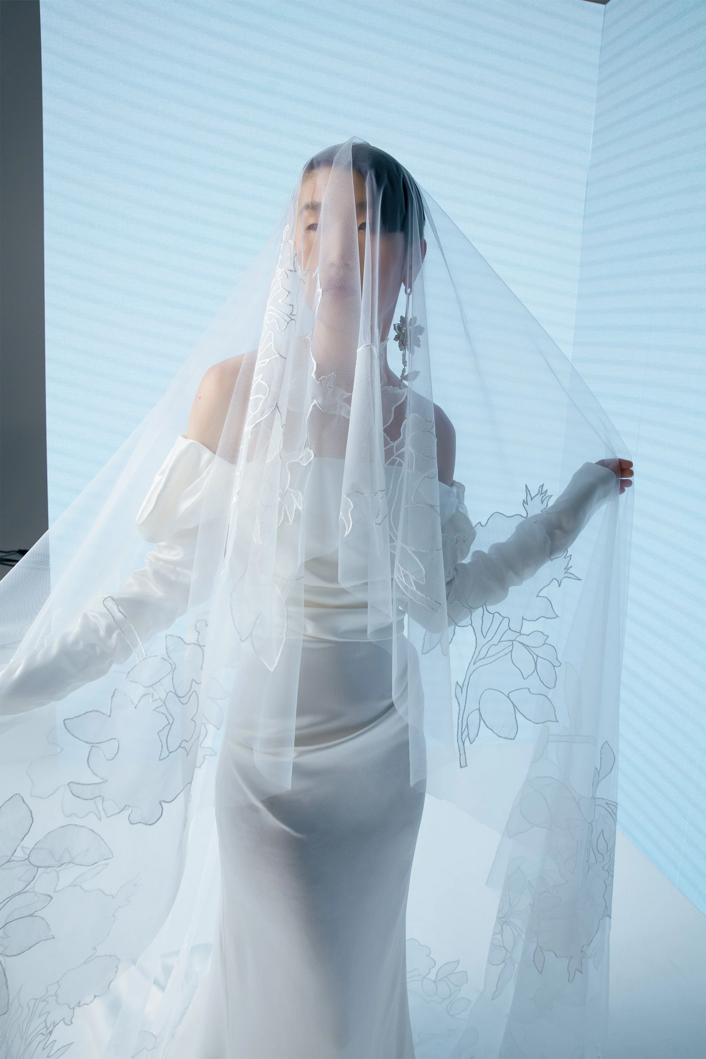 Absence of Roses Veil