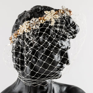 Birdcage Veil and Pearl Headband