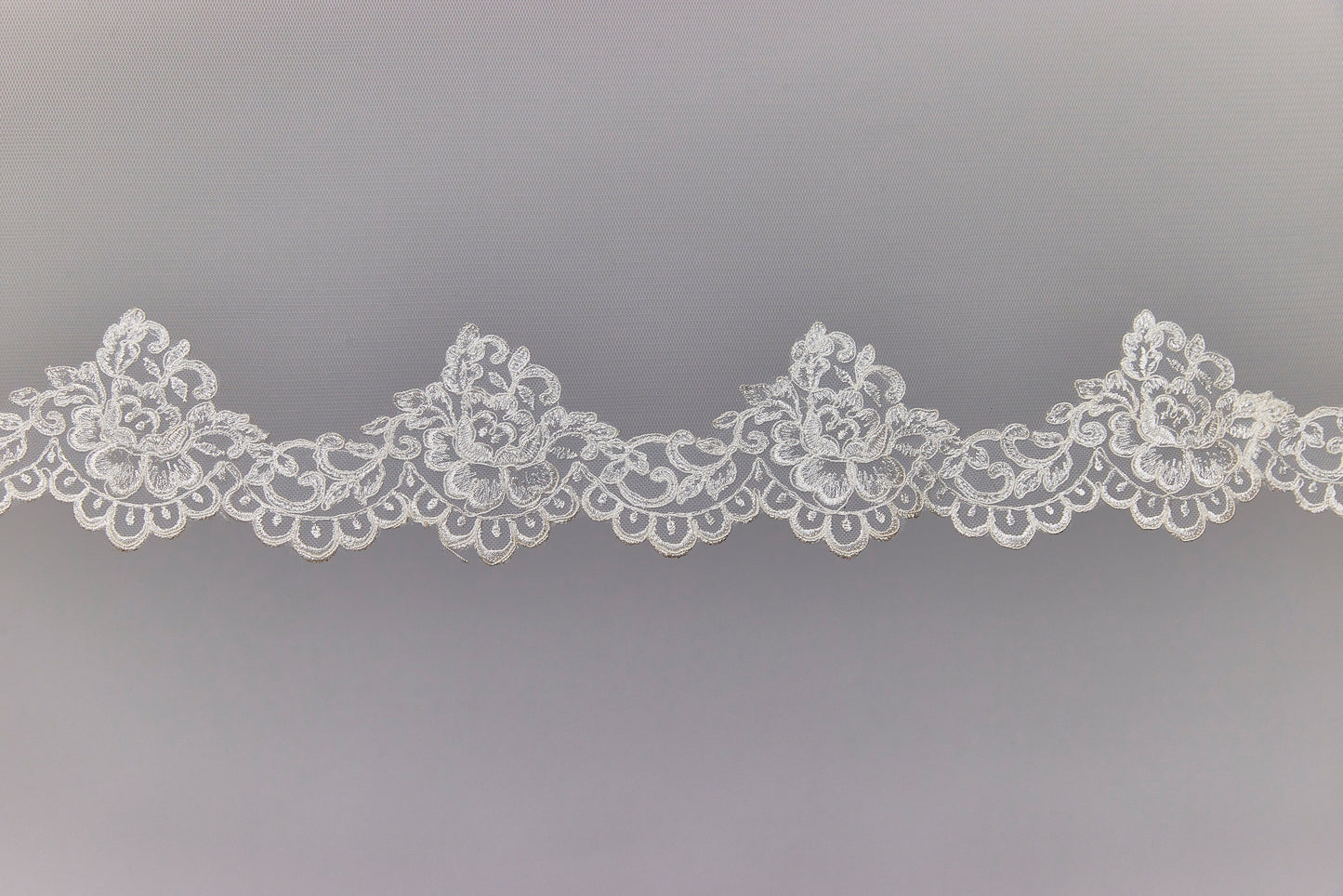 Italian Lace Scallop